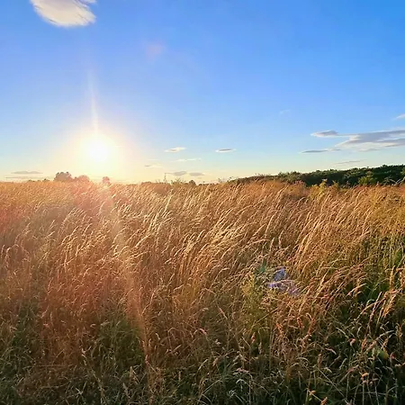 Tracey Island - Part Of The The Bay Village With Pool, Gym And Direct Access, Pub, Restaurant, Tennis And Meadows Walks Vakantiehuis Filey