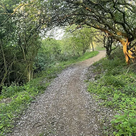 בית נופש Tracey Island - Part Of The The Bay Village With Pool, Gym And Direct Access, Pub, Restaurant, Tennis And Meadows Walks *