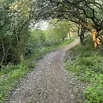 Dom wakacyjny Tracey Island - Part Of The The Bay Village With Pool, Gym And Direct Access, Pub, Restaurant, Tennis And Meadows Walks *